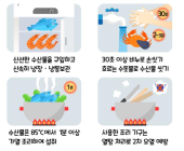 [포토뉴스] 식중독 걱정없이 안전한 여름 수산물 즐기기
