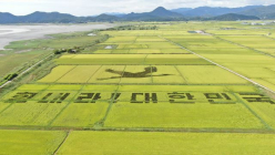 [뉴스 화제]  ‘힘내라 대한민국’…순천만에 그린 코로나 희망 메시지