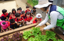 인천농업기술센터, 어린이 김치체험교실 개최