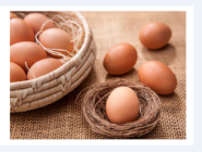 [생활정보] 계란・닭·오리고기 공급 충분…코로나19 가정수요로 계란↑
