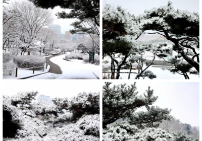 [포토뉴스] 눈 내린 한옥마을....대설주의보