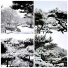 [포토뉴스] 눈 내린 한옥마을....대설주의보