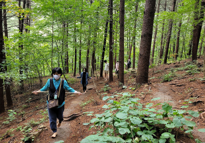 산림치유 프로그램…숲가꾸기 1일 체험행사